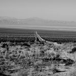 Death Valley, Nevada, USA