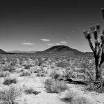Mojave desert, USA