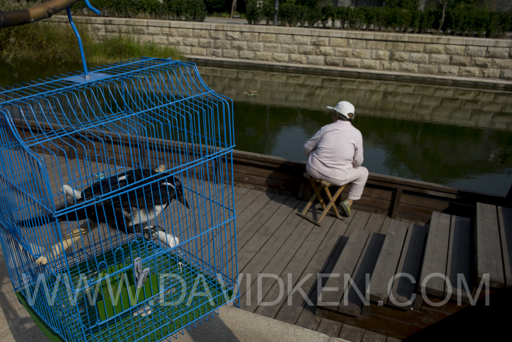 Au fil de l'eau à Pékin_07 octobre 2013_DavidKen