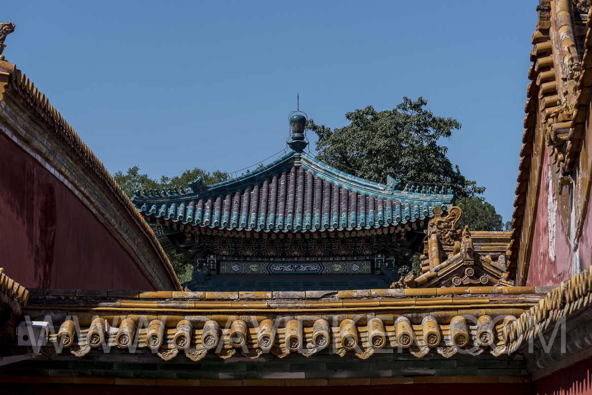 P1030175