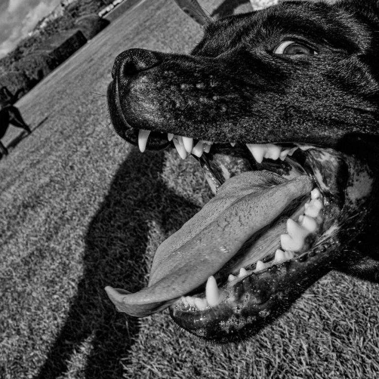 148AFD61-93AF-4CA1-891B-6E438E83E372_1_105_c