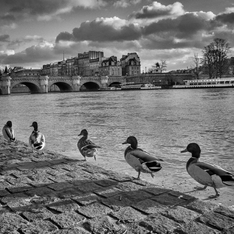 4AF7E454-6366-472E-8AD4-F1AD2B82A657_1_201_a