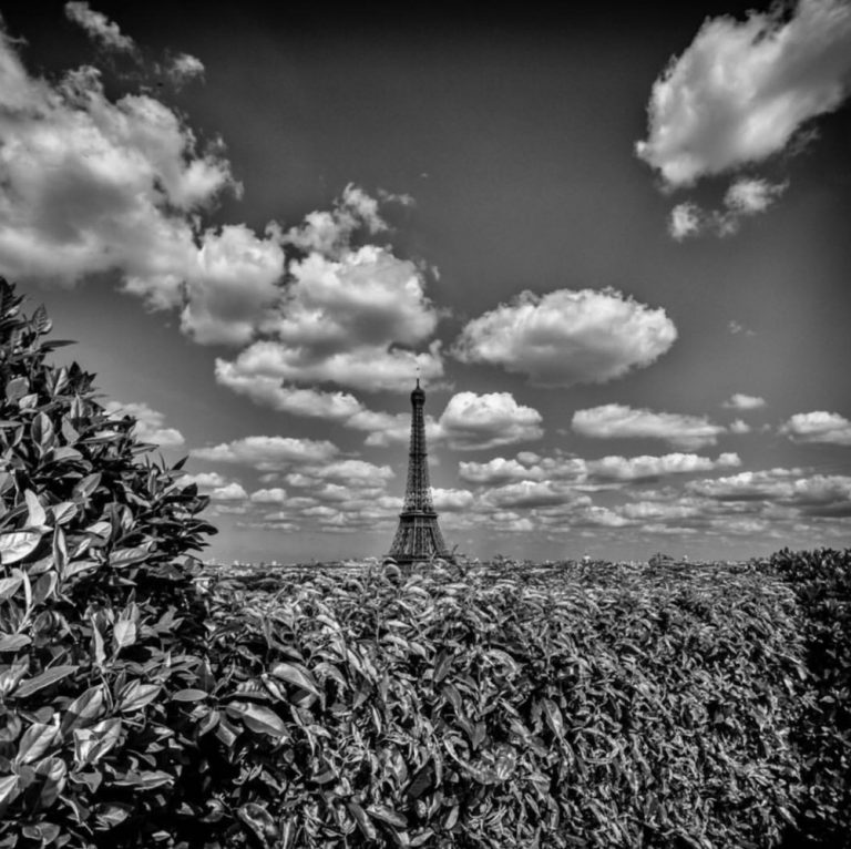 8BE43C3C-E7B6-489E-A10A-AC06E70EC211_1_201_a